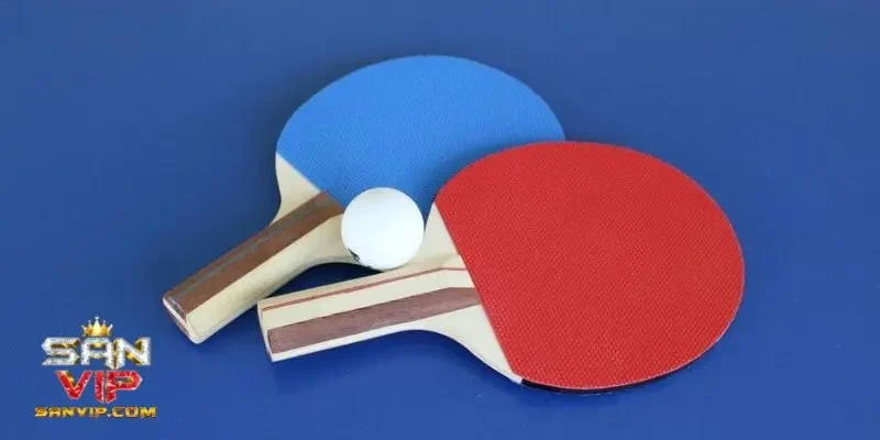 Bí kíp chơi cá độ bóng bàn chuẩn nhất