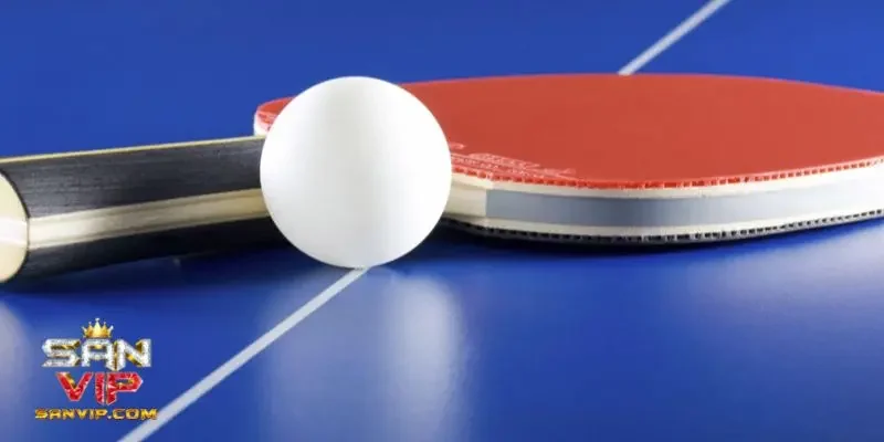 Cá độ bóng bàn là gì?