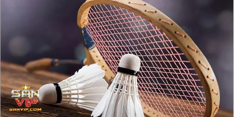 Cá độ cầu lông là gì?