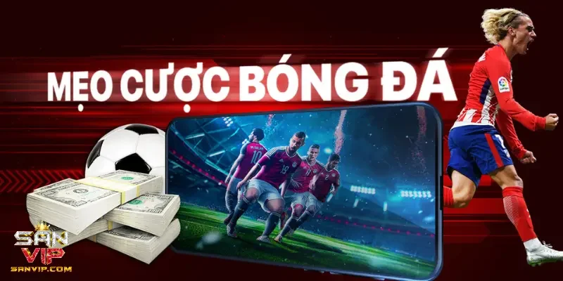 Giao diện với gam màu chuẩn trực quan 