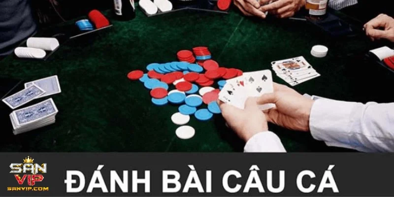 Nguồn gốc và sự phát triển của trò chơi bài câu cá